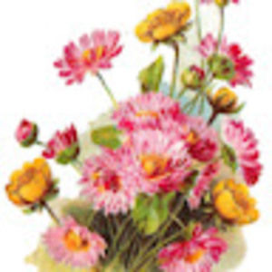 Meet your Posher, Noble